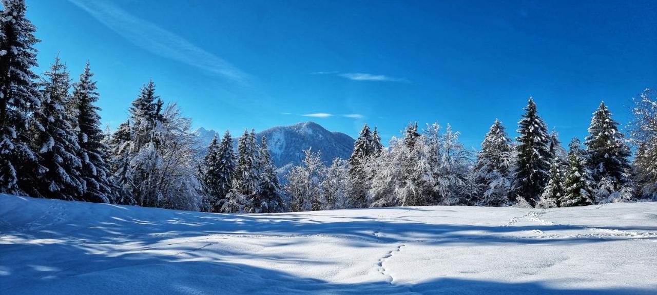 Apartma Ursic Kranjska Gora Ngoại thất bức ảnh